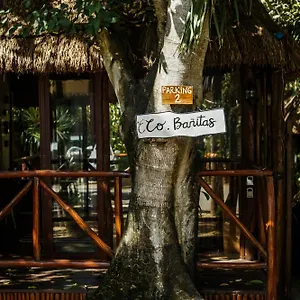 Hotel Eco Banitas